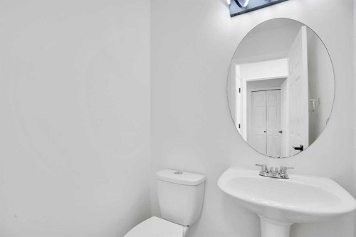 35 Taralea Place Ne, Calgary, AB - Indoor Photo Showing Bathroom