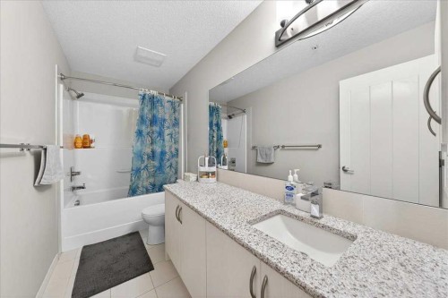 101-20 Seton Park Se, Calgary, AB - Indoor Photo Showing Bathroom