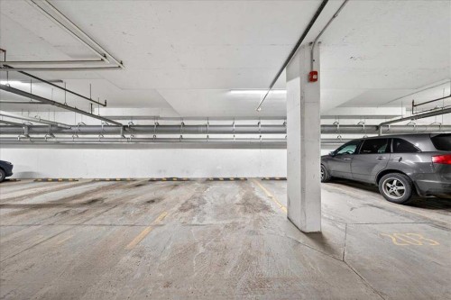101-20 Seton Park Se, Calgary, AB - Indoor Photo Showing Garage