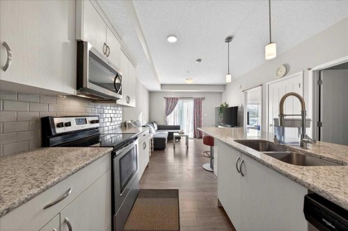 101-20 Seton Park Se, Calgary, AB - Indoor Photo Showing Kitchen With Double Sink With Upgraded Kitchen
