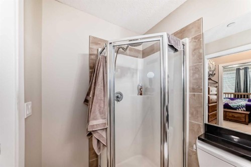 102-1005A Westmount Drive, Strathmore, AB - Indoor Photo Showing Bathroom