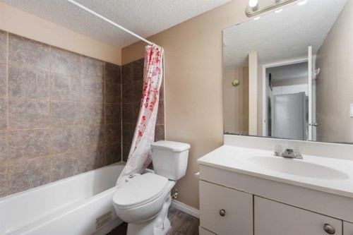 234 Tarawood Place Ne, Calgary, AB - Indoor Photo Showing Bathroom