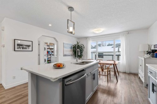 4382 Elgin Avenue Se, Calgary, AB - Indoor Photo Showing Kitchen With Double Sink