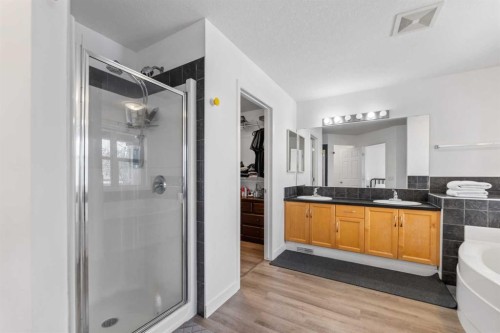 4382 Elgin Avenue Se, Calgary, AB - Indoor Photo Showing Bathroom