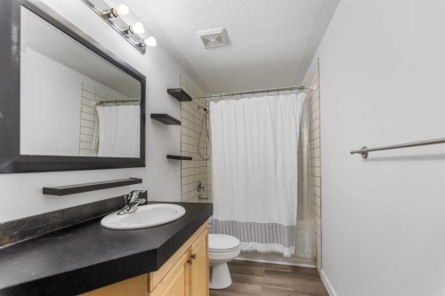 4382 Elgin Avenue Se, Calgary, AB - Indoor Photo Showing Bathroom