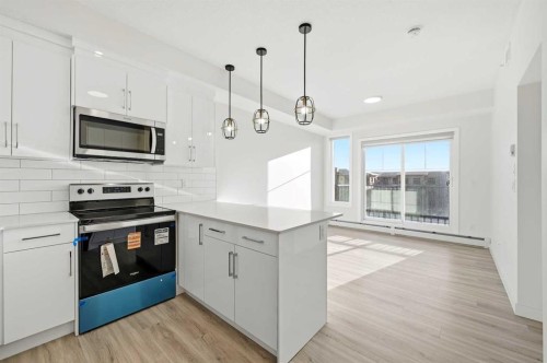 2425-15 Skyview Point Crescent Ne, Calgary, AB - Indoor Photo Showing Kitchen With Upgraded Kitchen