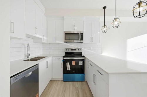 2425-15 Skyview Point Crescent Ne, Calgary, AB - Indoor Photo Showing Kitchen With Stainless Steel Kitchen With Double Sink With Upgraded Kitchen