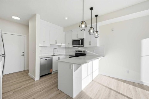 2425-15 Skyview Point Crescent Ne, Calgary, AB - Indoor Photo Showing Kitchen With Stainless Steel Kitchen With Upgraded Kitchen