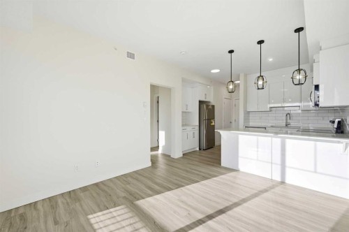 2425-15 Skyview Point Crescent Ne, Calgary, AB - Indoor Photo Showing Kitchen With Upgraded Kitchen