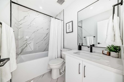 146-2211 19 Street Ne, Calgary, AB - Indoor Photo Showing Bathroom