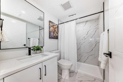 146-2211 19 Street Ne, Calgary, AB - Indoor Photo Showing Bathroom