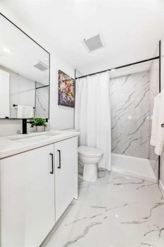 146-2211 19 Street Ne, Calgary, AB - Indoor Photo Showing Bathroom