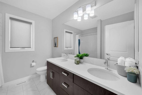 660 Reynolds Crescent Sw, Airdrie, AB - Indoor Photo Showing Bathroom