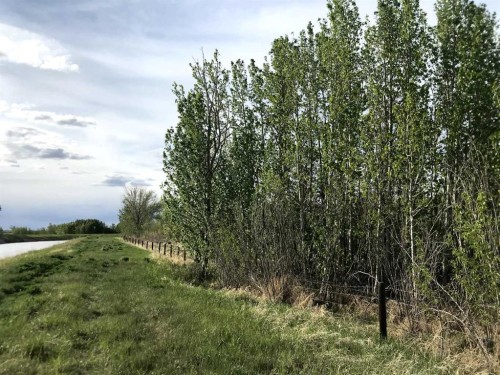 Range Road 264 Range, Rural Wheatland County, AB 