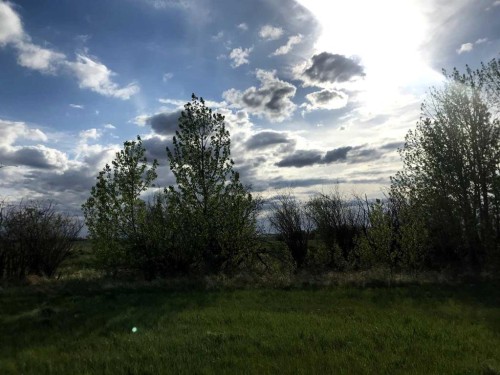 Range Road 264 Range, Rural Wheatland County, AB 