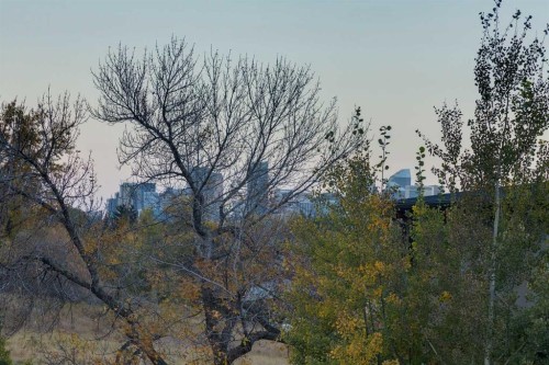 933 32 Street Nw, Calgary, AB - Outdoor With View