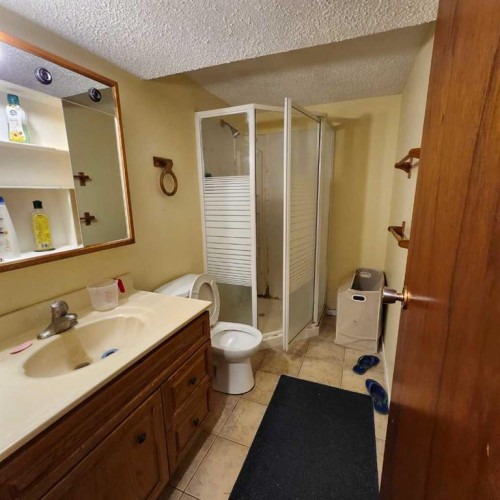 176 Whitworth  Way Ne, Calgary, AB - Indoor Photo Showing Bathroom