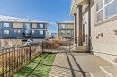 4 Evanscrest Gardens Nw, Calgary, AB  - Outdoor With Deck Patio Veranda 