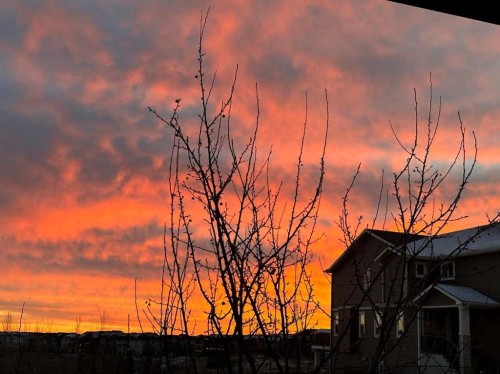 27 Nolanlake Point Nw, Calgary, AB - Outdoor With View