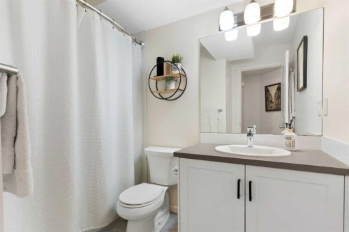 340 Kingsmere Way Se, Airdrie, AB - Indoor Photo Showing Bathroom