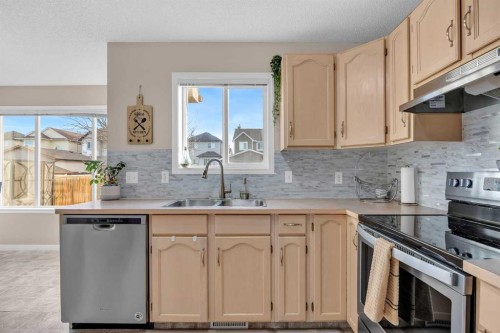 26 Saddlemead Close Ne, Calgary, AB - Indoor Photo Showing Kitchen With Double Sink