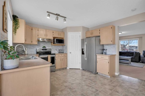 26 Saddlemead Close Ne, Calgary, AB - Indoor Photo Showing Kitchen With Double Sink