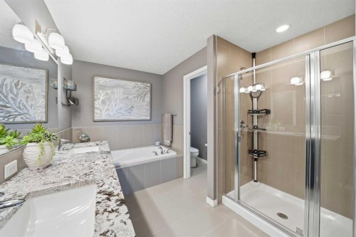 60 Walden Parade Se, Calgary, AB - Indoor Photo Showing Bathroom