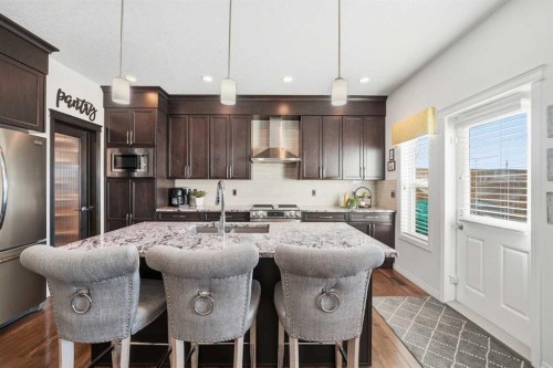 60 Walden Parade Se, Calgary, AB - Indoor Photo Showing Kitchen With Stainless Steel Kitchen With Upgraded Kitchen