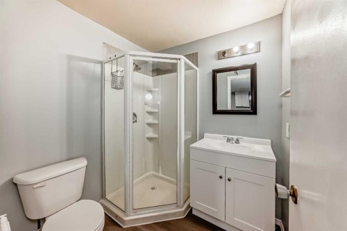 63 Falshire Place Ne, Calgary, AB - Indoor Photo Showing Bathroom