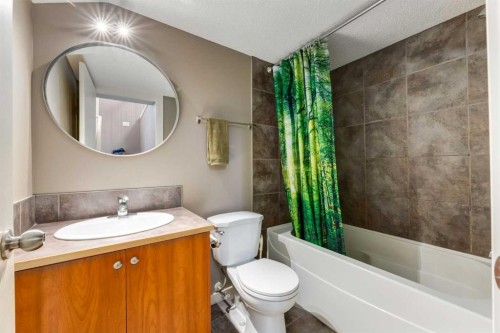 D-4528 73 Street Nw, Calgary, AB - Indoor Photo Showing Bathroom