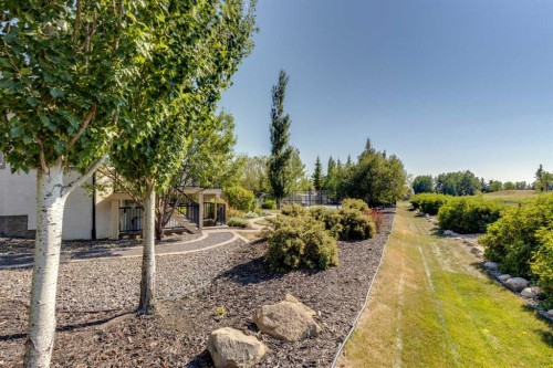 8 Cameron Close, Okotoks, AB - Outdoor