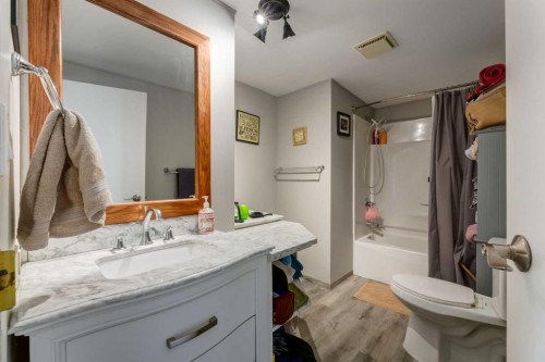 129-181043 Highway 550, Bassano, AB - Indoor Photo Showing Bathroom