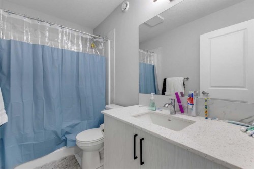704 Creekstone Circle Sw, Calgary, AB - Indoor Photo Showing Bathroom