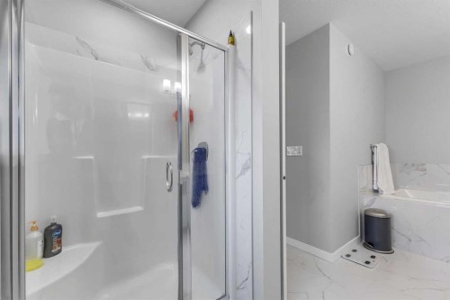 704 Creekstone Circle Sw, Calgary, AB - Indoor Photo Showing Bathroom