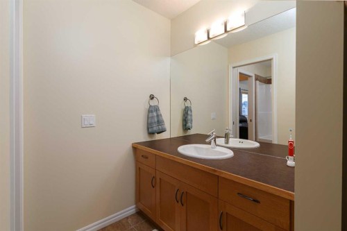 116 Rainbow Falls Grove, Chestermere, AB - Indoor Photo Showing Bathroom