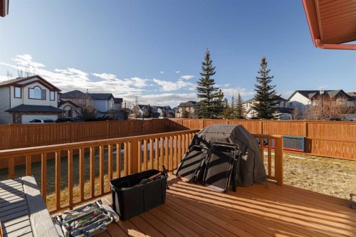 116 Rainbow Falls Grove, Chestermere, AB - Outdoor