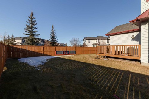 116 Rainbow Falls Grove, Chestermere, AB - Outdoor