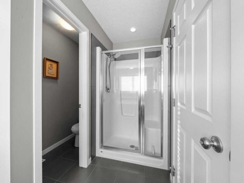 33 Amery Green, Crossfield, AB - Indoor Photo Showing Bathroom