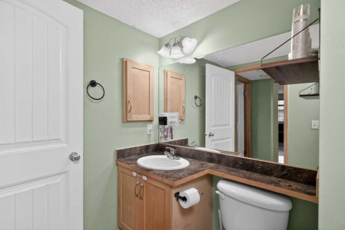 105-23 Everridge Square Sw, Calgary, AB - Indoor Photo Showing Bathroom