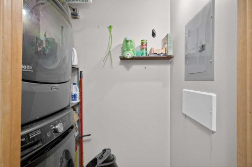 105-23 Everridge Square Sw, Calgary, AB - Indoor Photo Showing Laundry Room