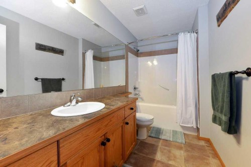 509 Country Meadows Street, Diamond Valley, AB - Indoor Photo Showing Bathroom