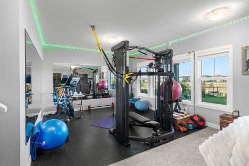 184 Ranch Road, Okotoks, AB - Indoor Photo Showing Gym Room