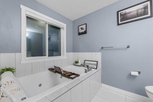 753 Edgefield Crescent, Strathmore, AB - Indoor Photo Showing Bathroom