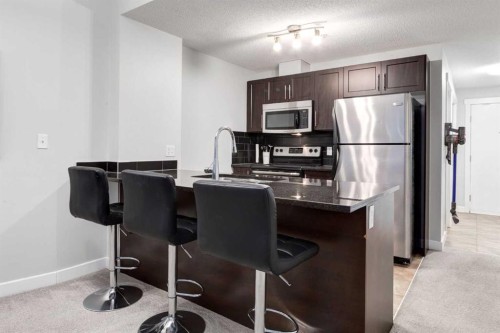 1603-325 3 Street Se, Calgary, AB - Indoor Photo Showing Kitchen