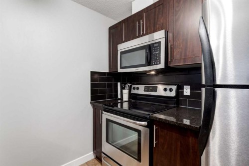 1603-325 3 Street Se, Calgary, AB - Indoor Photo Showing Kitchen
