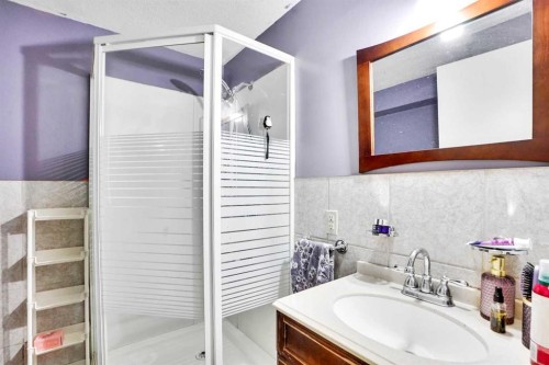 48 Templeridge Crescent Ne, Calgary, AB - Indoor Photo Showing Bathroom