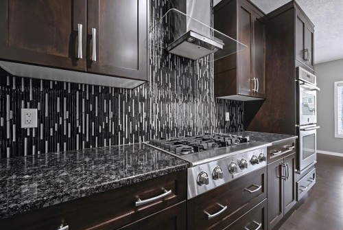 52 Skyview Point Terrace Ne, Calgary, AB - Indoor Photo Showing Kitchen With Upgraded Kitchen