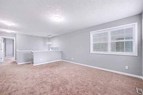 52 Skyview Point Terrace Ne, Calgary, AB - Indoor Photo Showing Other Room