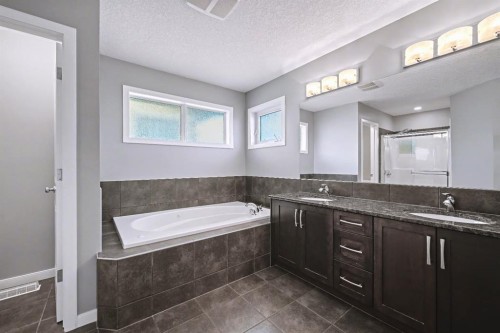 52 Skyview Point Terrace Ne, Calgary, AB - Indoor Photo Showing Bathroom