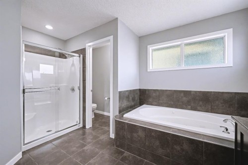 52 Skyview Point Terrace Ne, Calgary, AB - Indoor Photo Showing Bathroom